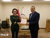 Viet Nam, Egypt push for closer defence industry ties