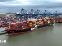 Nearly 500 containers of Vietnamese tea released from Pakistan's Karachi Port