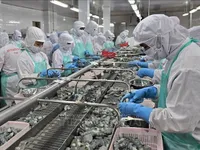 Vietnam’s exporters gear up for recovery as new markets open