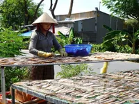 Per capita income rises 9.3% in 2025: Statistics office