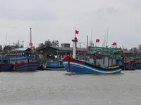 IUU fishing: Quang Ngai helps fishermen transition to sustainable livelihoods