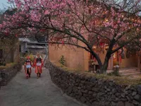 Green tourism opens new development pathway for northernmost frontier