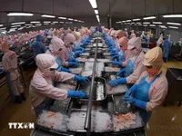 Vietnam remains Singapore’s third-largest seafood supplier in 2025