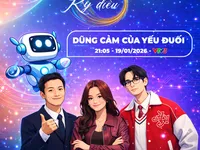 The Little Miracle: Warming Hearts Through Simple Values of  Everyday Life