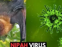 Health sector steps up preparedness against Nipah virus disease