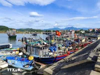 IUU fishing combat: Quang Ninh completes fishing licence issuance ahead of schedule