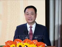 14th National Party Congress: Da Nang eyes development toward civilised, modern city