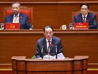 Sustainable cultural development in Viet Nam’s new era