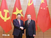 China-Viet Nam partnership rooted in enduring core values: Chinese scholar