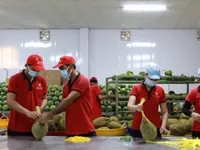 Quality helps Viet Nam retain agricultural market share in the US