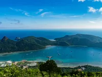 Highlights 7 unique Tết experiences across Vietnam