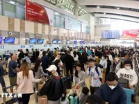 Noi Bai handles over 116,000 passengers on pre-Tet peak day