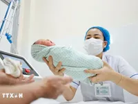 Over 8,300 babies born in first four days of Tet holiday