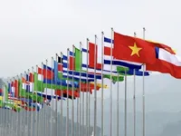 Promoting comprehensive foreign affairs at new height: Party chief