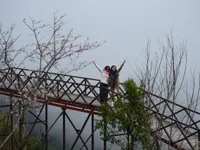Peach Blossoms in Full Bloom  Among   Clouds at O Quy Ho Pass
