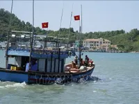 Vietnam intensifies efforts to have EC’s 'yellow card' on seafood exports lifted