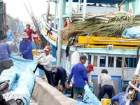 Gia Lai tightens fishing fleet management to combat IUU fishing