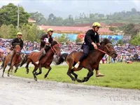 Lively Tet tourism season unfolds across Lao Cai