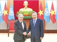 Actively implementing 14th National Party Congress’ Resolution on foreign affairs