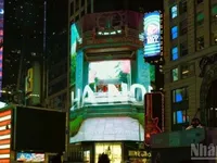 Images of Viet Nam shine at Times Square