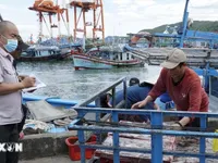 Da Nang adopts fisheries support policies to address EC’s IUU fishing “yellow card”