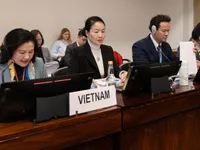 Gender equality remains consistent objective in Vietnam’s development process: official