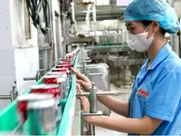 Vietnamese exporters face rising costs, delays as Middle East tensions disrupt Red Sea