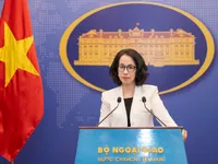 Vietnam opposes use of force against sovereign nations: Spokesperson