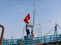 Dong Thap promotes IUU awareness from start of fishing season