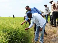 Can Tho shares agricultural transformation experience with Zambia