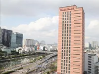 World-standard workforce crucial to building int’l financial centre