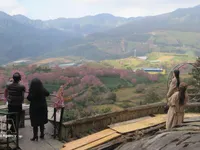 Vietnam among top five destinations searched by French travellers