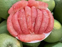 Agricultural exports increase, but face climate-related challenges
