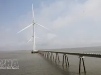 Policy recommendations for Vietnam drawn from Japan’s energy strategy