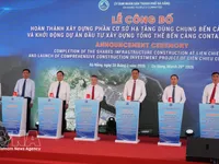 Da Nang aims to become attractive destination on global maritime map