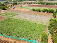 Data, digitalisation key to unlocking sustainable growth in Vietnam’s agriculture