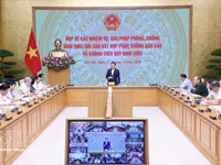 Deputy PM demands stricter management, more decisive action against IUU fishing