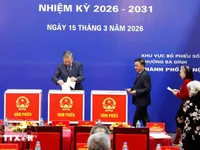 National Election Council confirms eligibility of 16th National Assembly deputies