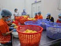 Vietnam’s food sector urged to move up global value chains