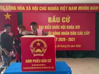 Vietnamese NA helps build institutional foundations for long-term development: Canadian researcher