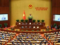 France-based expert suggests elevating parliamentary diplomacy to support national development