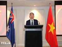Vietnam – Australia ties increasingly substantive: Consul General