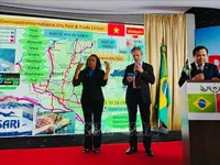 Vietnam, Brazil promote cooperation in agriculture, energy, biotechnology