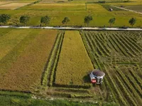 Green finance seen as key to unlocking Vietnam's low-carbon transition