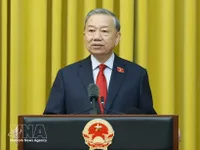 Cuban President congratulates To Lam on election as President of Vietnam