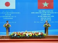 Vietnamese, Japanese PMs meet with press after talks