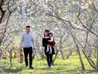 Northwest cultural showcase to open in Son La in May