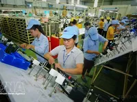 Vietnam, India expand trade cooperation in new growth phase