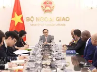 Foreign minister welcomes ambassadors of African nations