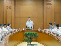 Top leader calls for development of green, sustainable, self-reliant materials industry